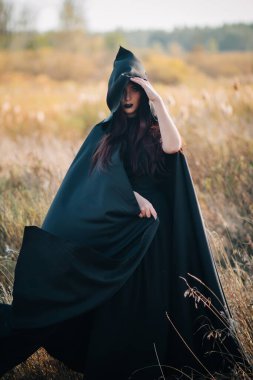Siyah elbiseli bir kız, kapüşonlu bir kız ormanın arka planındaki yüksek kuru bir çimenlikte duruyor. Cadı Kostümü, Satanist, Büyücü, Cadılar Bayramı Kostümü.