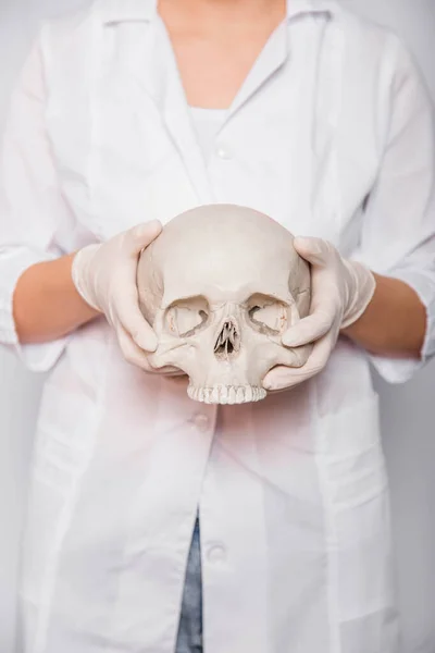 Close-up human skull in the hands of a female doctor on a white background. The concept of forensic medicine and archeology.