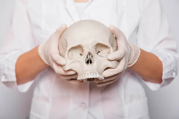 Close-up human skull in the hands of a female doctor on a white background. The concept of forensic medicine and archeology.