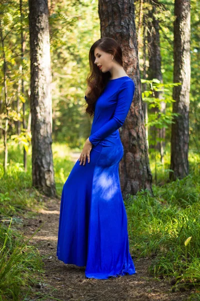 Hermosa Mujer Joven Vestida Con Vestido Azul Sobre Fondo Bosque — Foto de Stock