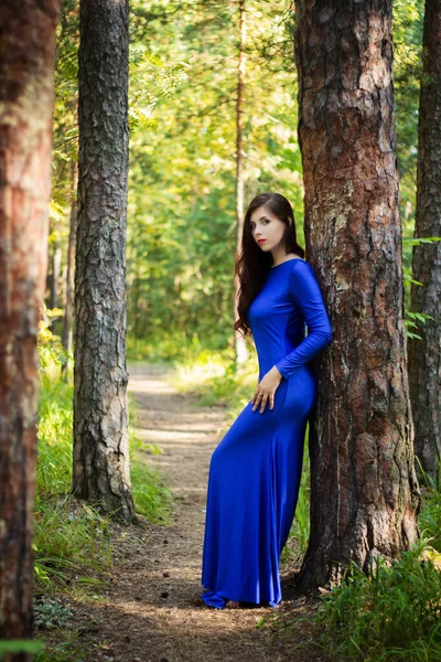 Mulher Bonita Jovem Vestida Com Vestido Azul Fundo Uma Floresta — Fotografia de Stock