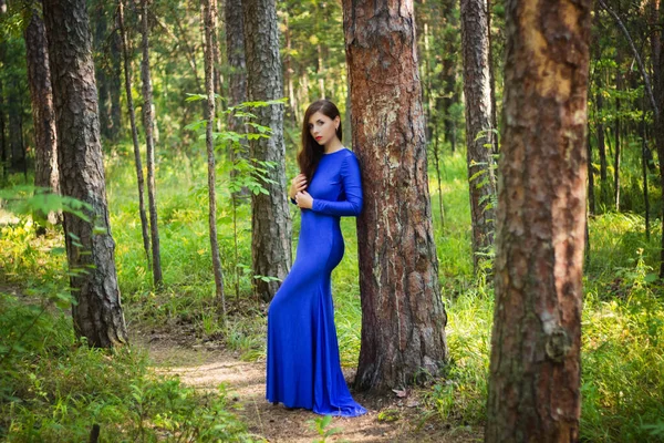 Hermosa Mujer Joven Vestida Con Vestido Azul Sobre Fondo Bosque — Foto de Stock