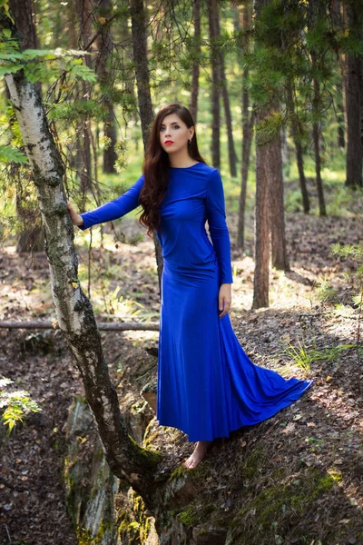 Mulher Bonita Jovem Vestido Azul Fica Perto Uma Árvore Sobre — Fotografia de Stock