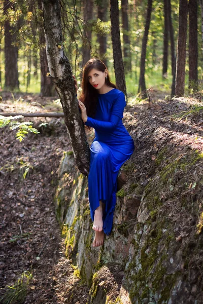 Hermosa Joven Mujer Vestido Azul Está Sentada Cerca Árbol Sobre — Foto de Stock