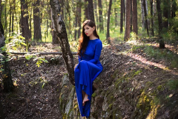 美しい青いドレスの若い女性が崖の上の木の近くに座っている森の背景を背景に — ストック写真