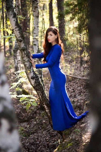 Krásná Mladá Žena Modrých Šatech Stojí Stromu Nad Útesem Pozadí — Stock fotografie