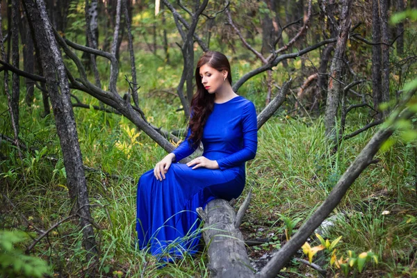 Mulher Bonita Jovem Vestido Azul Está Sentado Uma Árvore Caída — Fotografia de Stock