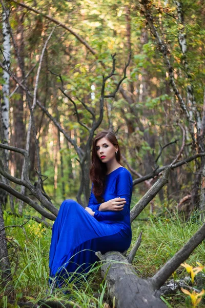 Hermosa Joven Mujer Vestido Azul Está Sentado Árbol Caído Fondo — Foto de Stock