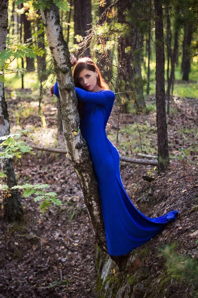 Beautiful Young Woman Blue Dress Stands Tree Cliff Forest Background — Stock Photo, Image