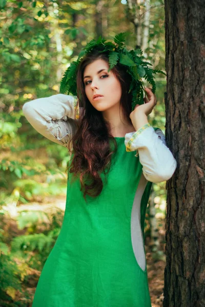 Atraktivní Venkovská Dívka Zelených Středověkých Šatech Věnečkem Kapradí Hlavě Stojí — Stock fotografie