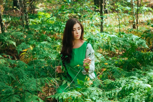 Menina Atraente Vestido Medieval Verde Senta Nos Arbustos Samambaia Mulher — Fotografia de Stock