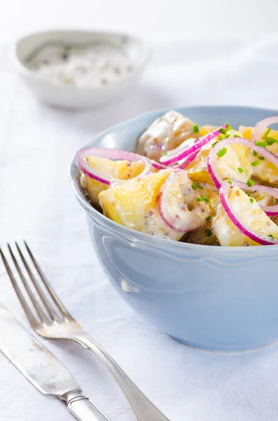 Taze Patates Salatası Mayonez Sos Soğan Beyaz Zemin Üzerine Kapari — Stok fotoğraf