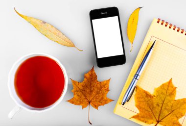 Not defteri ve cep telefonu