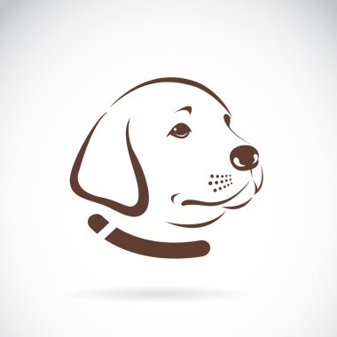 Beyaz arkaplanda bir Labrador köpeğinin kafasının vektör görüntüsü