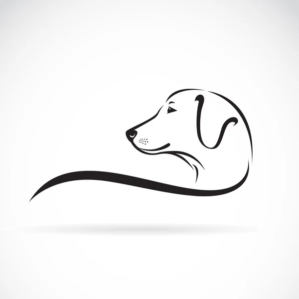 Imagen vectorial de la cabeza de un perro labrador sobre fondo blanco — Vector de stock