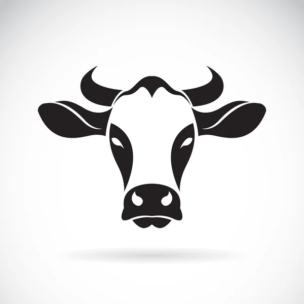 Vector de cabeza de vaca sobre fondo blanco. — Vector de stock