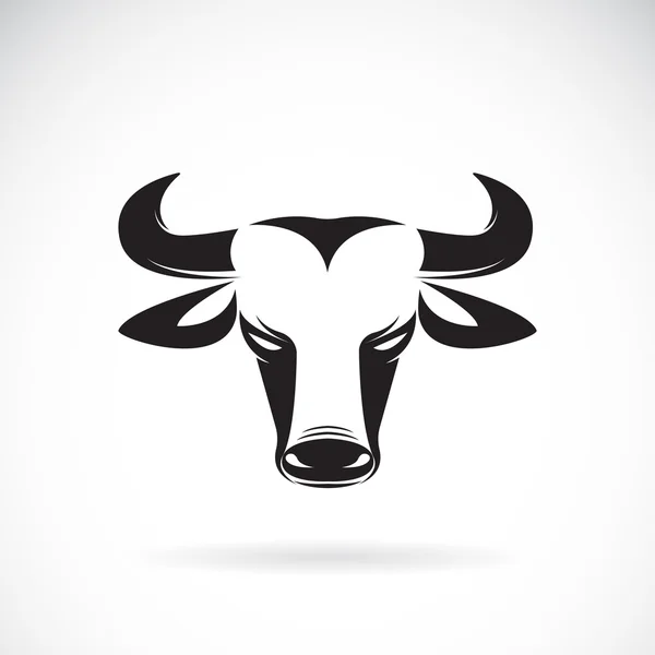 Vector of bull haed on white background. — Stock Vector