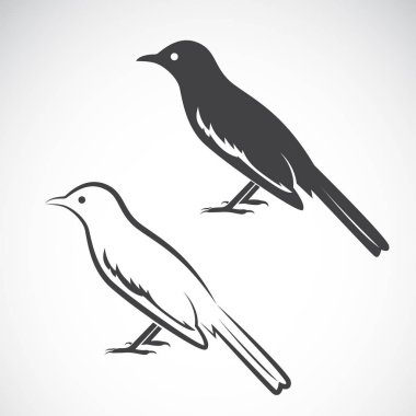 Vektör magpie tasarım beyaz arka plan üzerinde. Kuş simgesi. Ben vektör