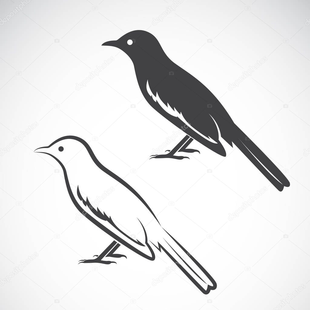 Vector of magpie design on white background. Bird Icon. Vector illustration.