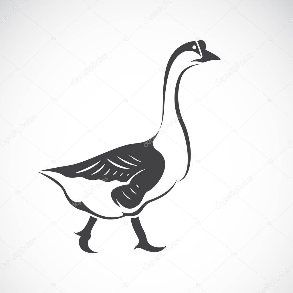 Vector image of a goose on white background, Vector goose logo. Farm Animals.