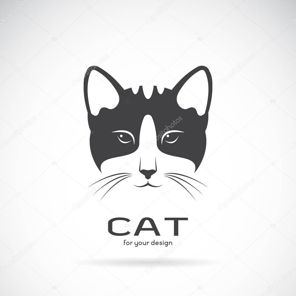 Vector image of an cat face design on white background