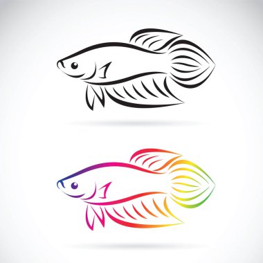 Download Betta Fish Free Vector Eps Cdr Ai Svg Vector Illustration Graphic Art
