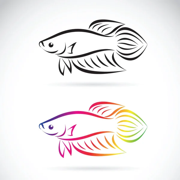 Vektorbild eines Kampffisch-Designs auf weißem Hintergrund, ein — Stockvektor