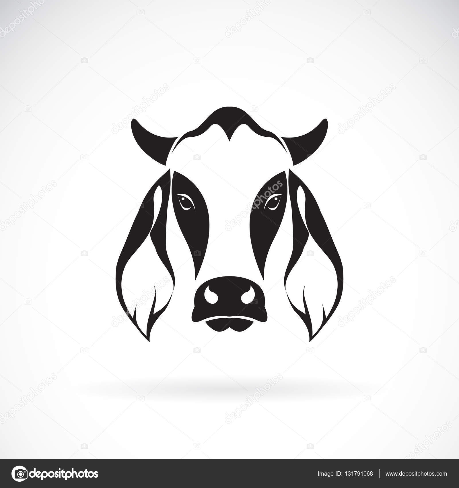 Download Vector of cow head design on white background. Cow logo ...