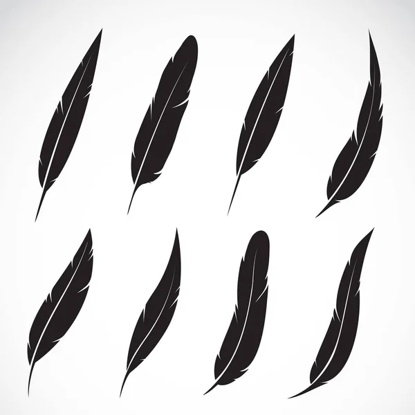 Vector group of feather on white background — Stock Vector