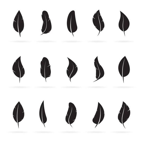 Vector group of feather on white background. — Stock Vector