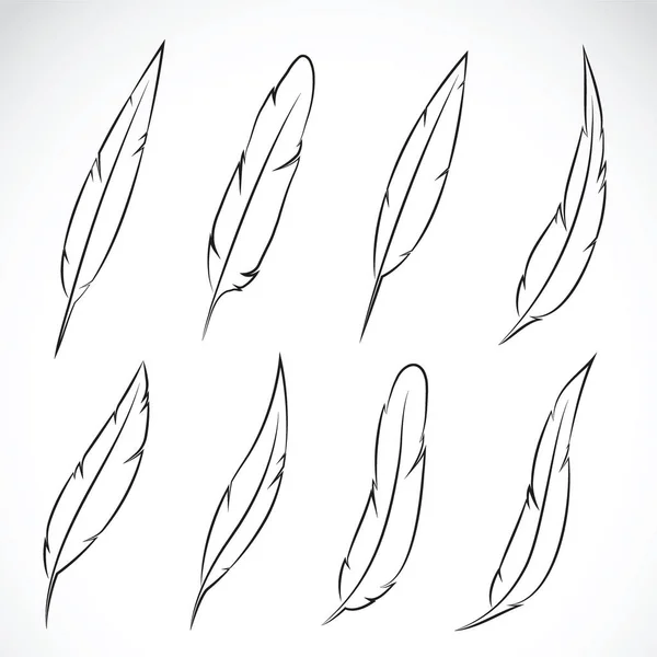 Gruppo vettoriale di piume su sfondo bianco. — Vettoriale Stock