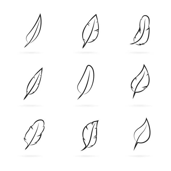 Grupo vectorial de plumas sobre fondo blanco. — Archivo Imágenes Vectoriales