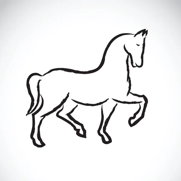 Vecteur d'un cheval sur fond blanc. — Image vectorielle