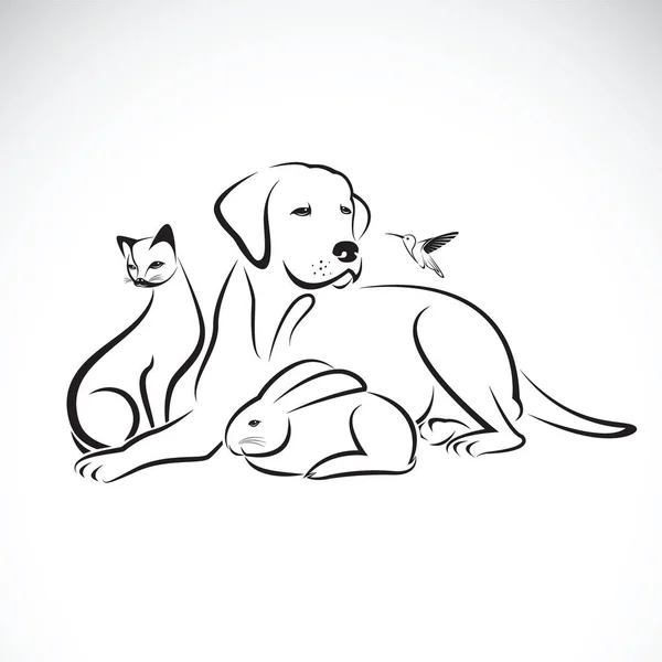 Grupo vetorial de animais de estimação no fundo branco. Cão, Gato, Humming bir —  Vetores de Stock