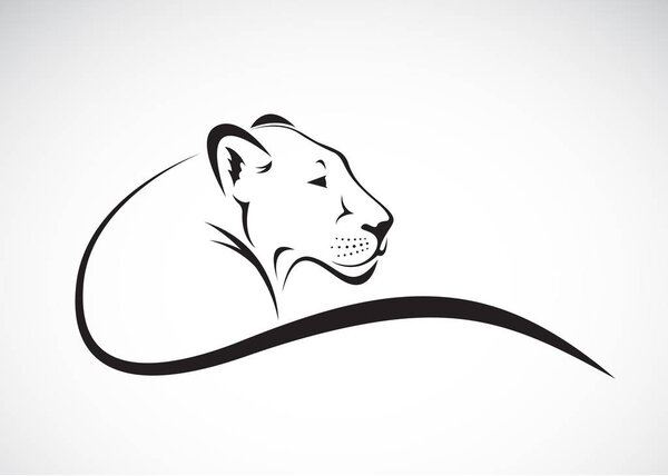 Вектор рисунка самки льва на белом фоне, дикая аниме