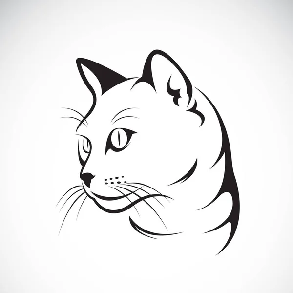 Vektor dari desain wajah kucing pada latar belakang putih, Vector illustra - Stok Vektor