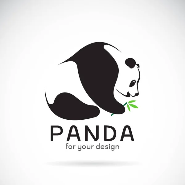 Vecteur d'un dessin de panda sur fond blanc. Animaux sauvages. — Image vectorielle