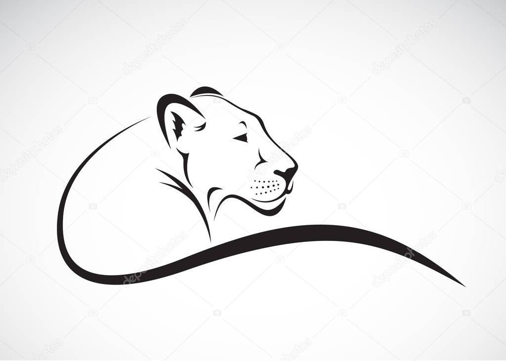 Vector of a lion female design on white background, Wild Animals