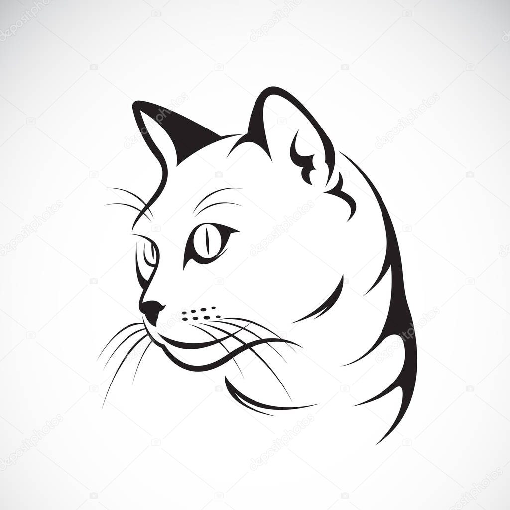 Vector of a cat face design on white background, Vector illustration. Pet