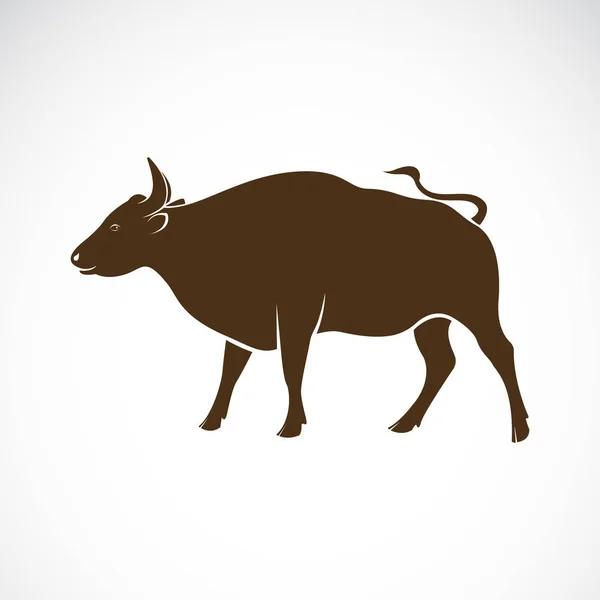 Vektor býka na bílém pozadí. Divoká zvířata — Stockový vektor