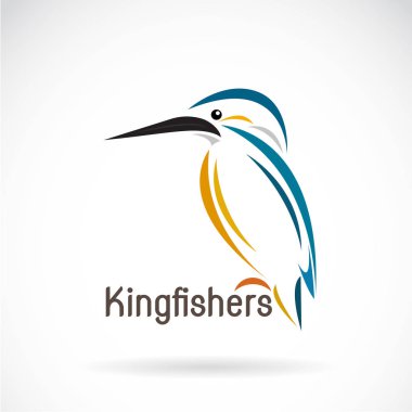 Beyaz zemin üzerinde bir kingfishers (Alcedo şuna) vektör. Bir