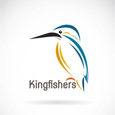 Vector of a kingfishers (Alcedo atthis) on white background. Bir clipart