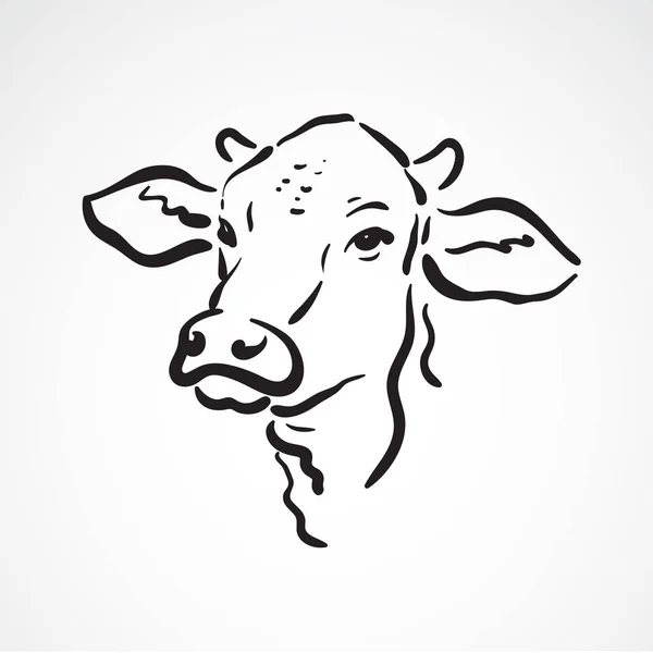 Vector de una cabeza de vaca sobre fondo blanco. Animales de granja. — Vector de stock