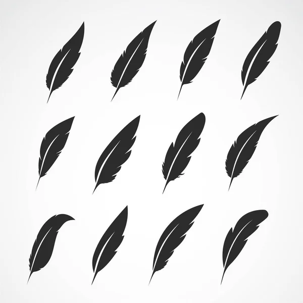 Vector group of feather on white background. — Stock Vector