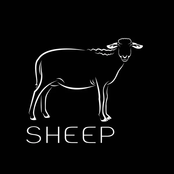 一只绵羊在黑色背景的向量。农场里的动物. — 图库矢量图片