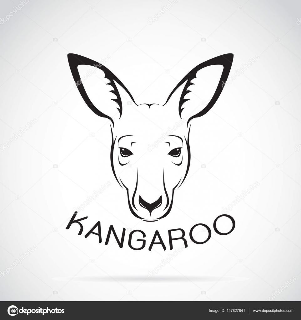 Kangaroo face Vector Art Stock Images | Depositphotos