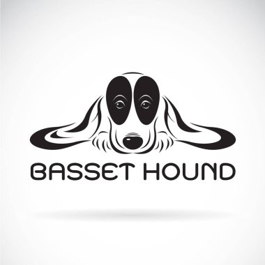 Beyaz arka planda Basset av köpeği taşıyıcısı. Hayvan Hayvanlar 