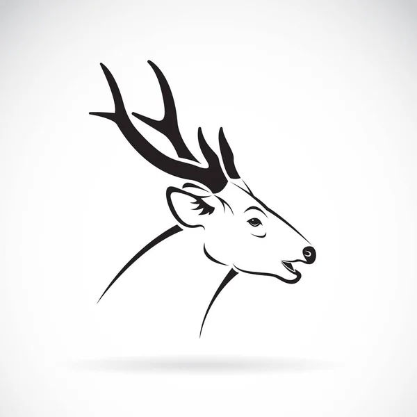 Vetor de uma cabeça de veado em um fundo branco. Logotipo de animais selvagens. — Vetor de Stock