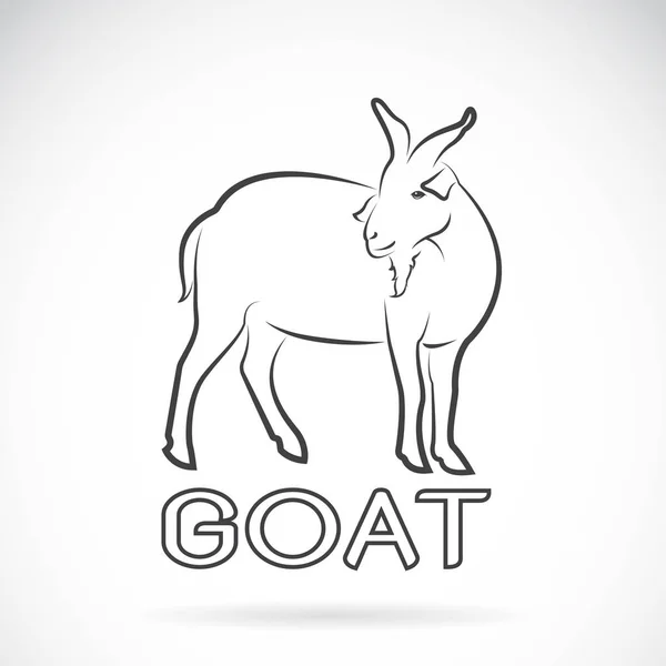 Vector of a goat on a white background. Wild Animals. — Stock Vector