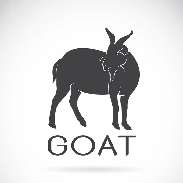 Vector of a goat on a white background. Wild Animals. — Stock Vector